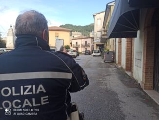 Segnalazione di maltrattamenti smentita, i cani stanno bene