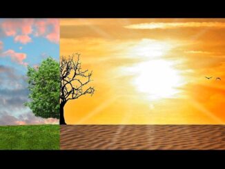 Cambiamento climatico ed eventi estremi. Il ruolo del cittadino
