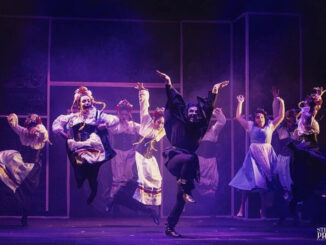 Frankenstein Junior, il musical: due ore di puro divertimento!