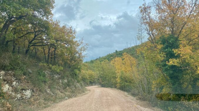 Afor stanzia 40 mila euro per la manutenzione delle strade