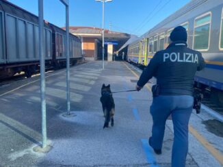 Utilizzo di unità cinofile e tecnologie avanzate