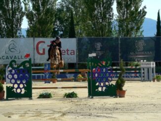 Montefalco Ospita l'Edizione 2024 del Sagrantino Show Jumping
