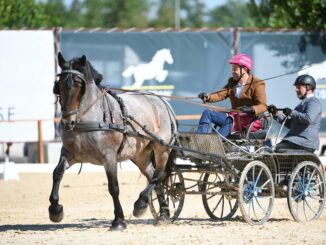 Montefalco equitazione Italiani di combinata e coppa regioni