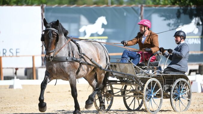Montefalco equitazione Italiani di combinata e coppa regioni