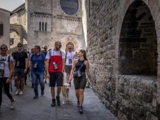 “La Sagrantina”: Un Viaggio Sensoriale tra le Terre del Sagrantino