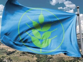 Spighe Verdi 2024: 8 Comuni Umbri tra le 75 eccellenze italiane