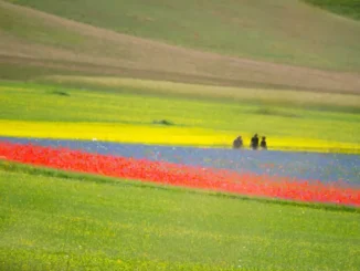 Alla scoperta del "Cammino Lauretano" con Cammini Aperti a Colfiorito