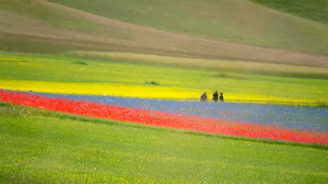Alla scoperta del "Cammino Lauretano" con Cammini Aperti a Colfiorito