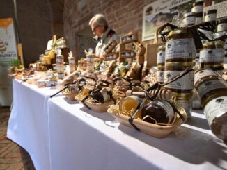 Mielinumbria: a Foligno la rassegna del miele e delle api