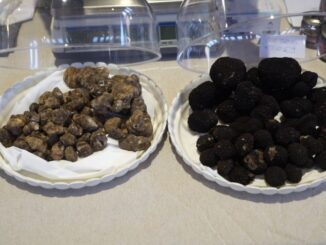 Eccellenze e promozione del territorio: Mostra del tartufo di Valtopina