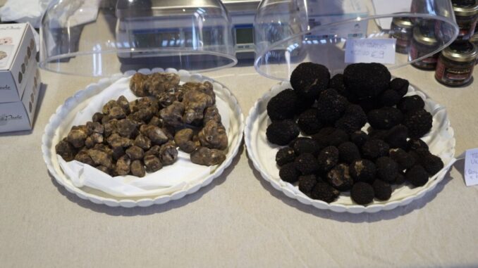 Eccellenze e promozione del territorio: Mostra del tartufo di Valtopina