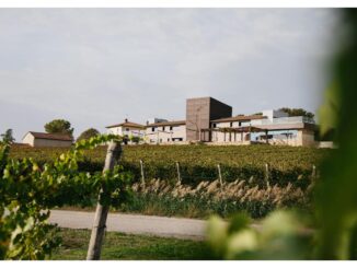 Tabarrini Cantina vince il SOLE 2025 per Adarmando