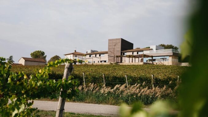 Tabarrini Cantina vince il SOLE 2025 per Adarmando