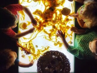 Laboratori e attività pratiche per la Festa della Scienza 2025