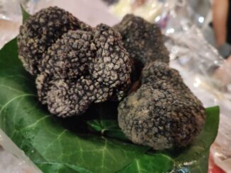 Tartufo protagonista a Valtopina, torna ‘Nero d’estate’