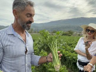 Sedano Nero di Trevi, produzione raddoppiata nel Consorzio