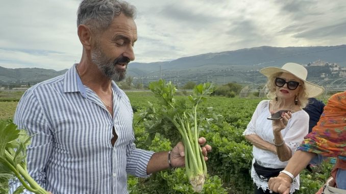 Sedano Nero di Trevi, produzione raddoppiata nel Consorzio