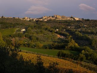Tre comuni umbri entrano negli itinerari dell’oleoturismo
