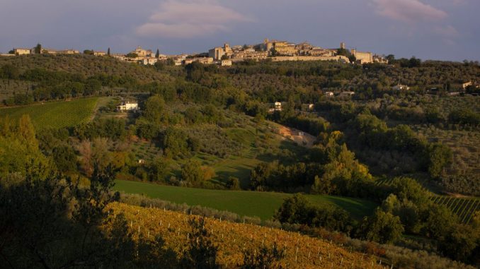 Tre comuni umbri entrano negli itinerari dell’oleoturismo