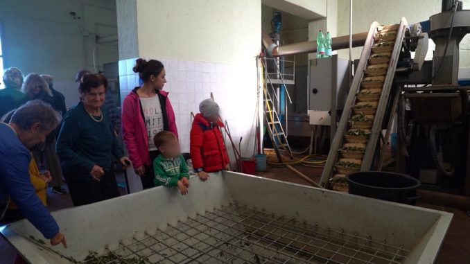 Frantotipico accende Colle del Marchese con l’olio nuovo e la festa