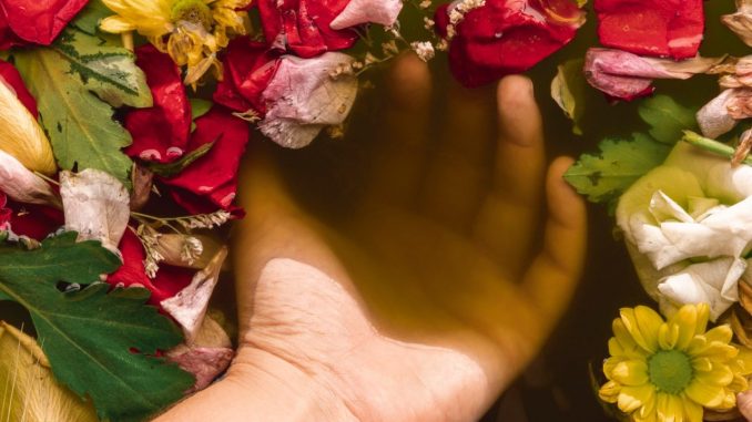 Foligno in Fiore celebra bellezza e cultura il 12 ottobre