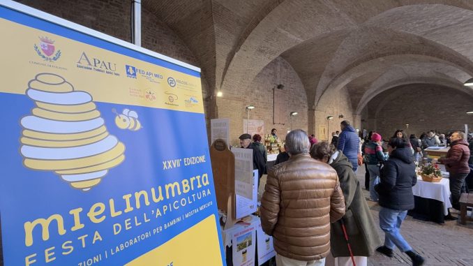 Mielinumbria 2025, biodiversità e girasole per salvare le api