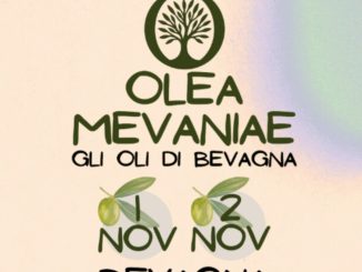 Evento Olea Mevaniae a Bevagna: successo per turismo olio
