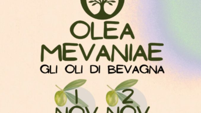 Evento Olea Mevaniae a Bevagna: successo per turismo olio