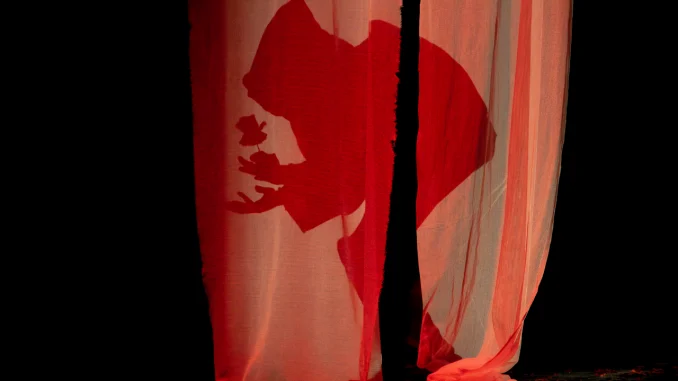 La bella e la bestia: il teatro per famiglie incanta Foligno