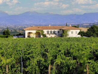 Cantine aperte: week-end enoturistico a Montefalco