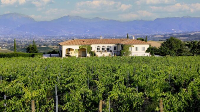 Cantine aperte: week-end enoturistico a Montefalco