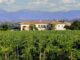 Cantine aperte: week-end enoturistico a Montefalco